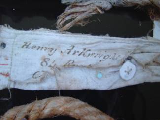 Henry's collar